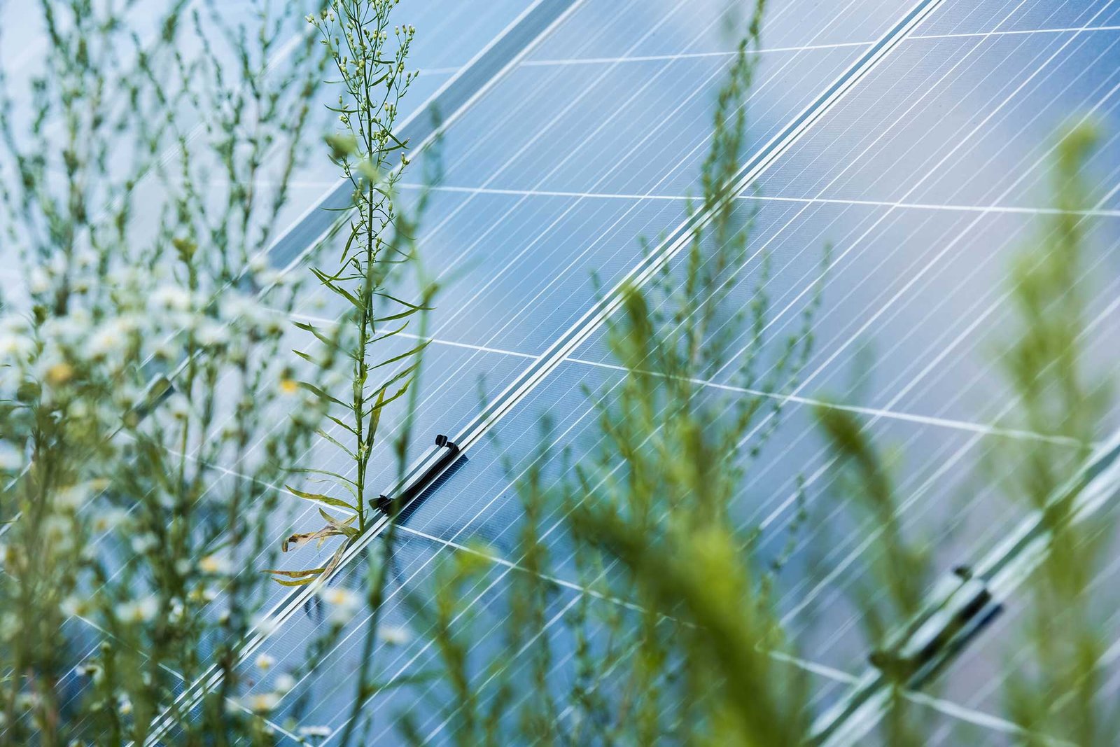 Panneaux-photovoltaïques